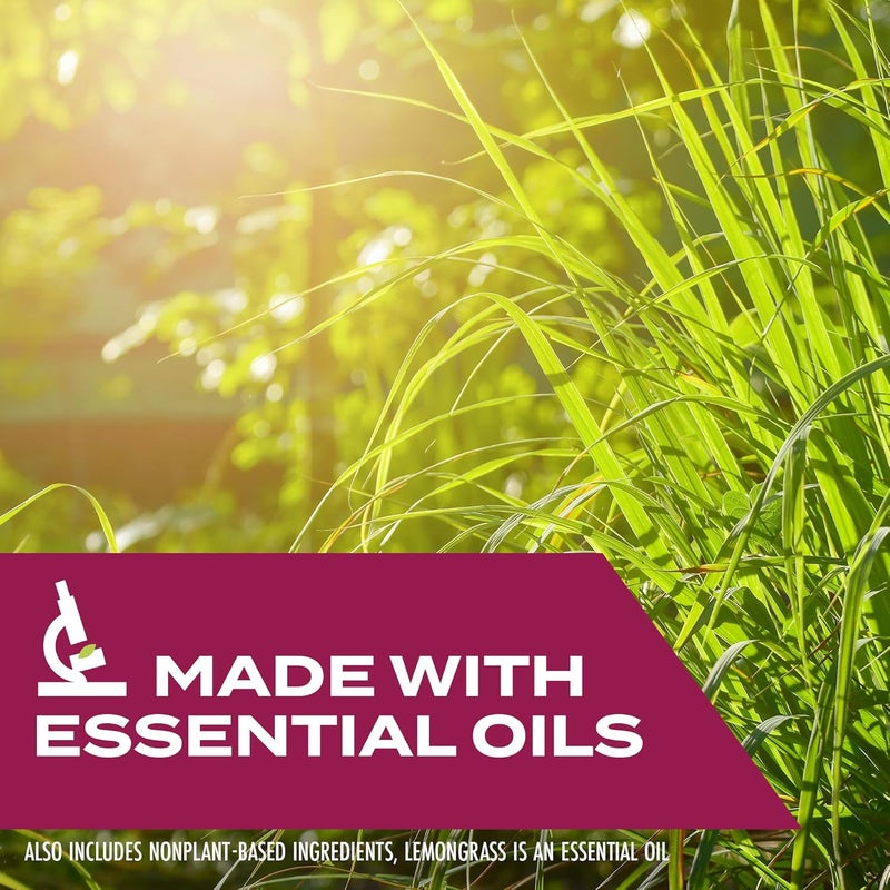 STEM Kills Ants, Roaches And Flies: Plant-Based Active Ingredient Bug Spray, Botanical Insecticide For Indoor And Outdoor Use; 12 fl oz (Pack Of 1) - Image 5